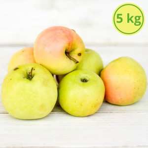 Jabłka Gold Milenium® (EKO) - 5kg
