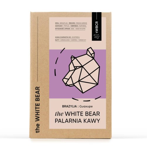 #1 Guaxupe Auto 1000 Vis + Background.jpg