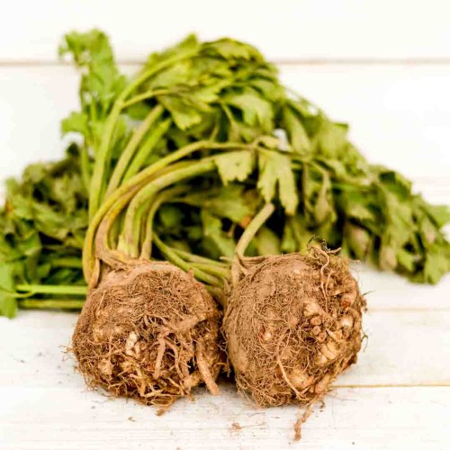 Seler z nacią - Mikołaj Kordziukiewicz-0431.jpg