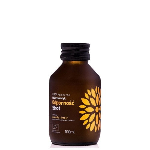 SHOT KOMBUCHA PROBIOTYK ODPORNOŚĆ BEZGLUTENOWY BIO 100 ml - VIGO.jpg