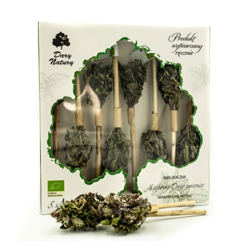 Herbatka na patyku Miętowe orzeźwienie EKO 8x3g-1 3300 