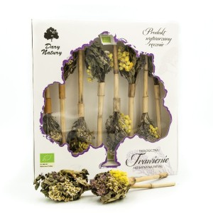 Herbatka na patyku Trawienie EKO 8x3,25g