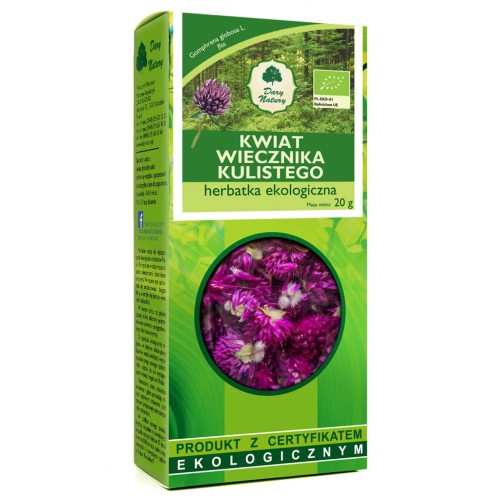 Wiecznik kulisty kwiat EKO 20g-1 3559 