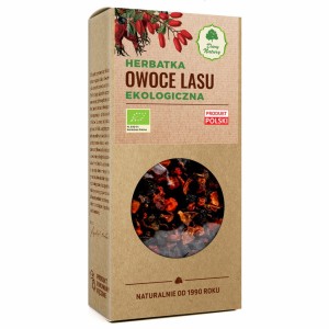 Herbatka Owoce Lasu EKO 100g
