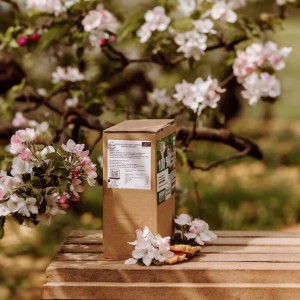 Sok jabłko - burak - seler  (EKO)