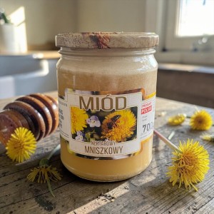 Miód mniszkowy (średni)