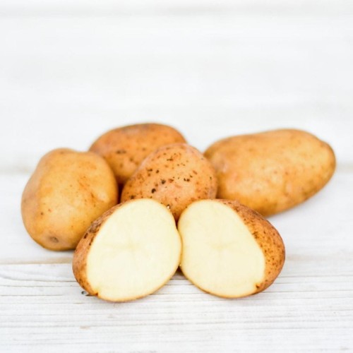 eko-młode-ziemniaki-irga-1kg-gospodarstwo-ekologiczne-soroczyńscy.jpg