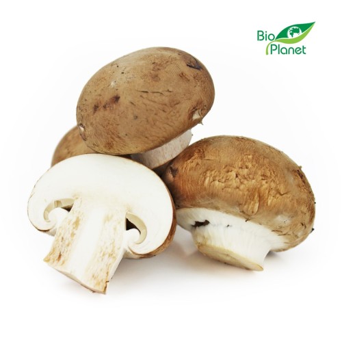 PIECZARKI BRĄZOWE ŚWIEŻE BIO (POLSKA) (około 0,25 kg)-1 5310 