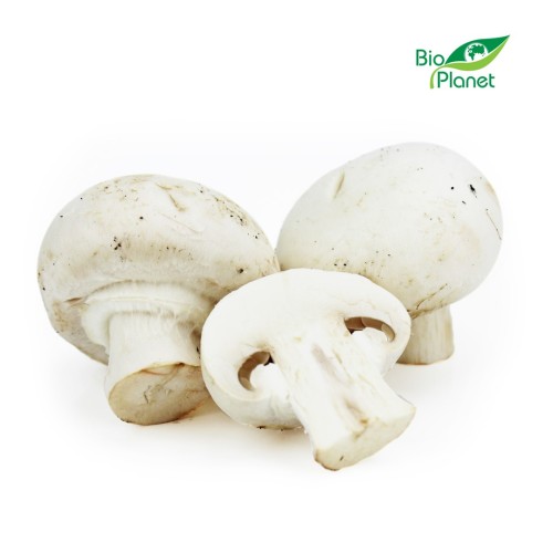 PIECZARKI BIAŁE ŚWIEŻE BIO (POLSKA) (około 0,25 kg)-1 5311 
