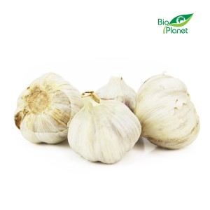 Czosnek Bio (około 0,10kg)