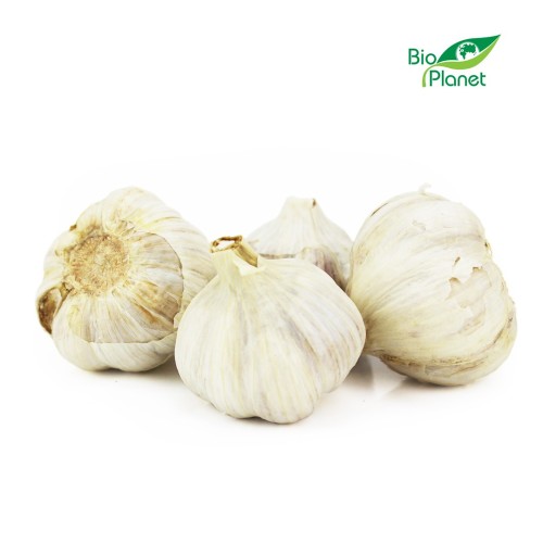 CZOSNEK ŚWIEŻY BIO (POLSKA) (około 0,10 kg)-1 5435 
